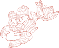 Imagem com fundo branco e uma cor rosa delicada, transmitindo leveza e harmonia.